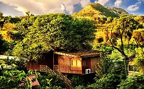 The Tree House Resort, Jaipur- A Club Mahindra Associate
